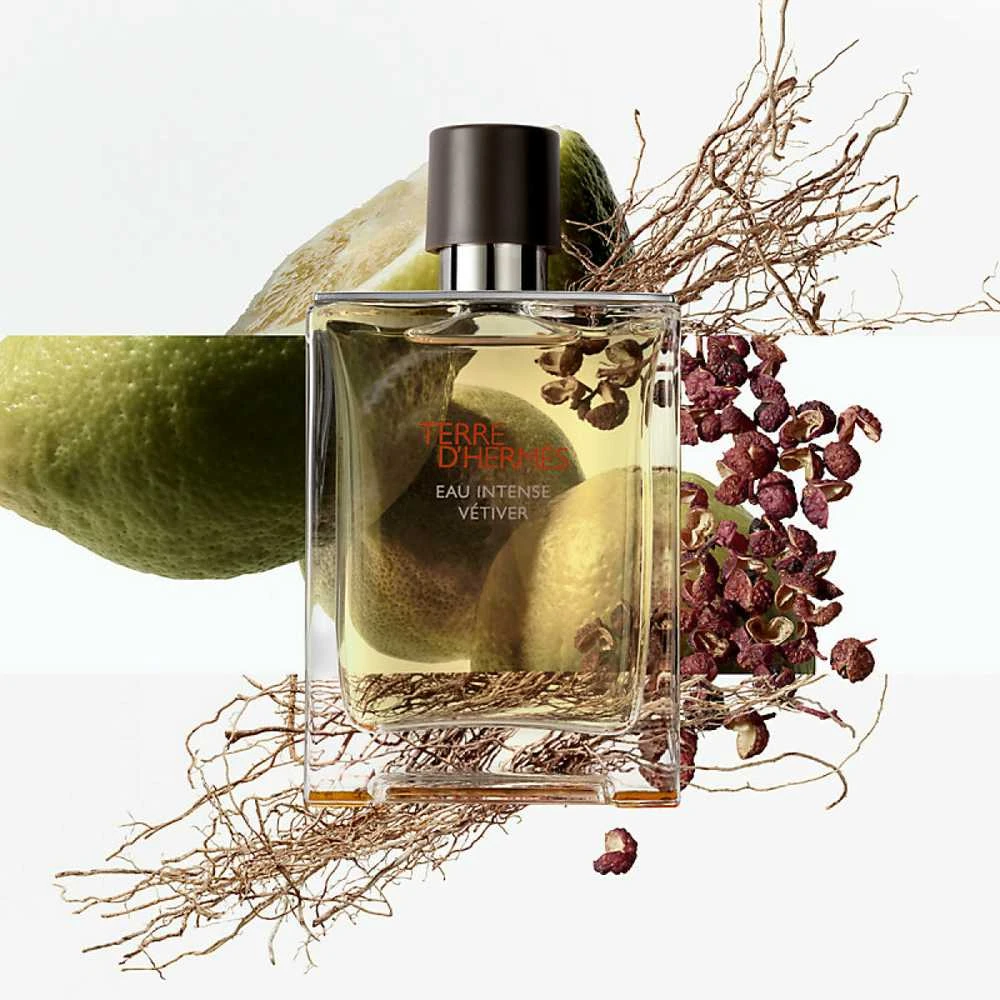 Parfumuotas vanduo (EDP) Terre D´Hermès Eau Intense Vetiver Purškiklis 200ml