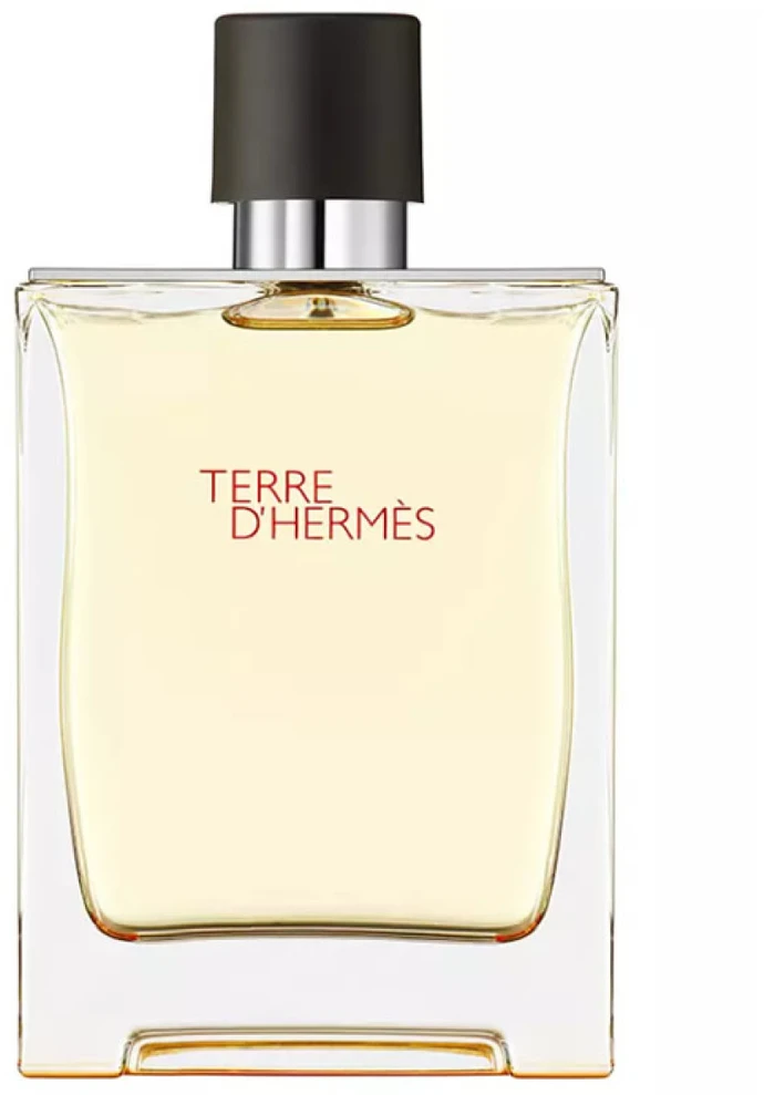Hermes Terre D'hermes EDT tualetinis vanduo vyrams, 200 ml