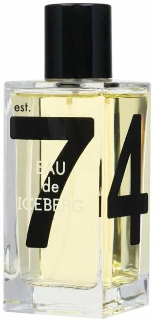Iceberg Eau de Iceberg Pour Homme EDT tualetinis vanduo vyrams, 100 ml