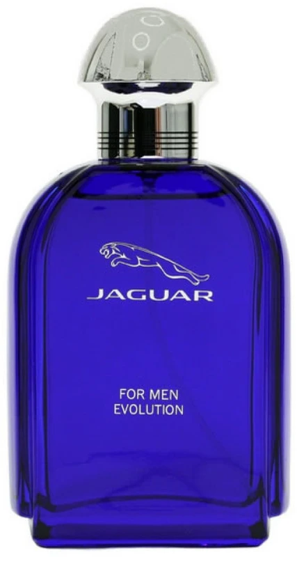 Kvepalai vyrams Jaguar Evolution EDT, 100 ml