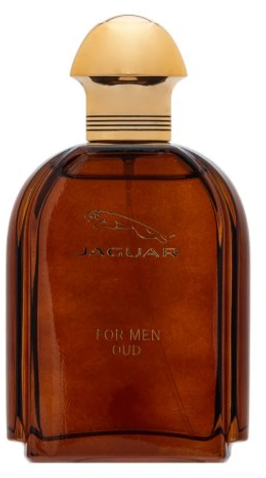 Jaguar Oud For Men EDP parfumuotas vanduo vyrams, 100 ml