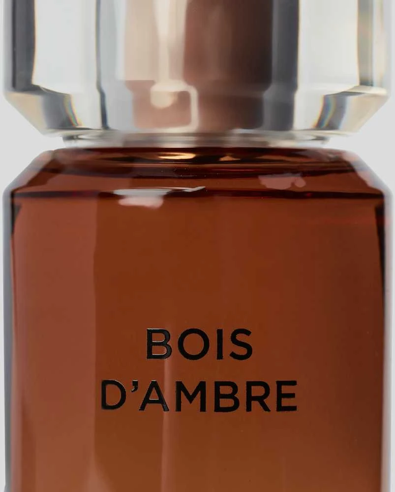 Karl Lagerfeld Bois D'Ambre EDT tualetinis vanduo vyrams, 100 ml