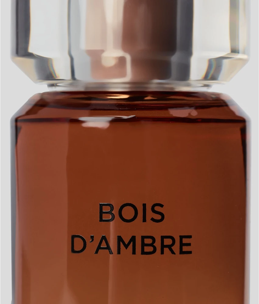 Karl Lagerfeld Bois D'Ambre EDT tualetinis vanduo vyrams, 100 ml