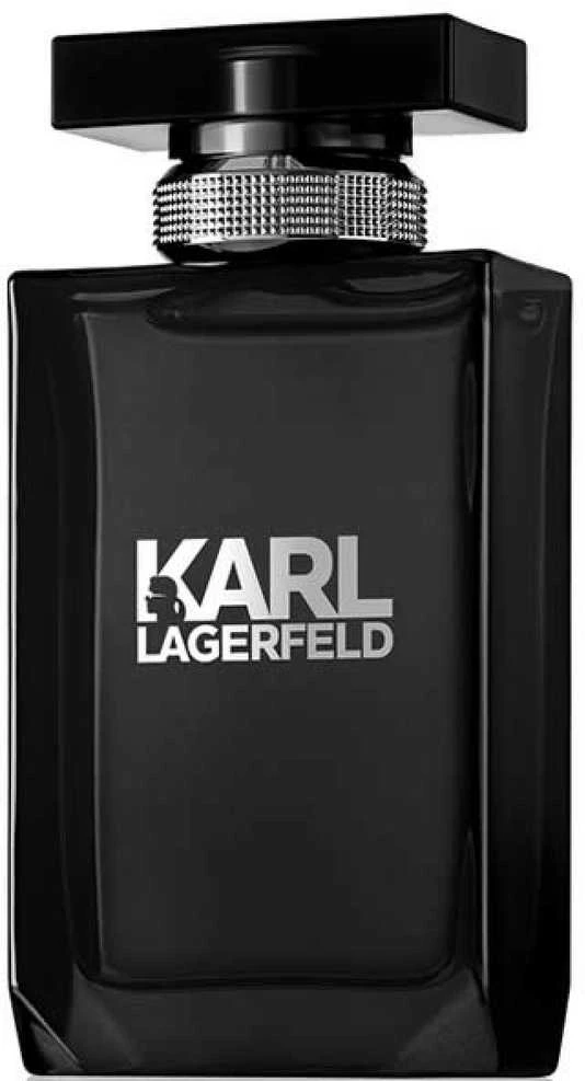 Karl Lagerfeld Pour Homme tualetinis vanduo 100ml