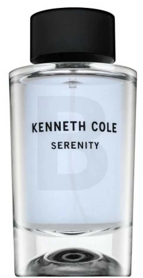 Kenneth Cole Serenity EDT tualetinis vanduo vyrams, 100 ml