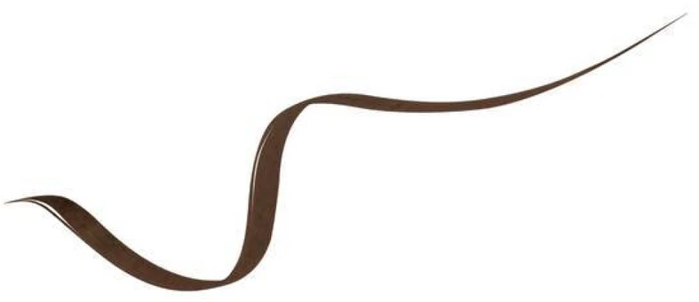 Lancôme Idôle (Atsparus vandeniui Liner) 1 ml, 02 Syrup Brown