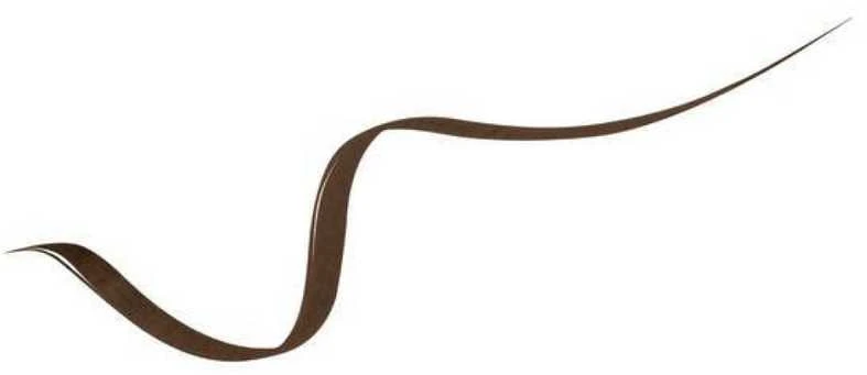 Lancôme Idôle (Atsparus vandeniui Liner) 1 ml, 02 Syrup Brown