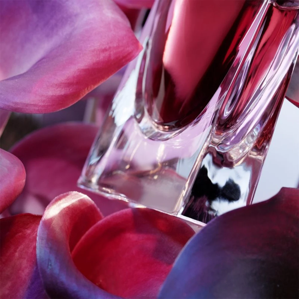 Kvepalai moterims Lancome La Vie Est Belle Elixir EDP, 50 ml