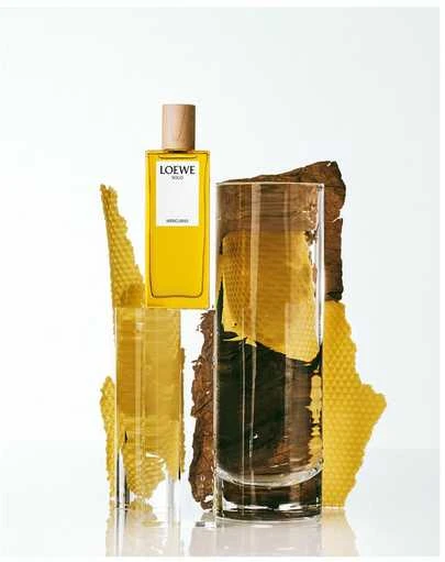 Loewe Solo Mercurio EDP parfumuotas vanduo vyrams, 100 ml