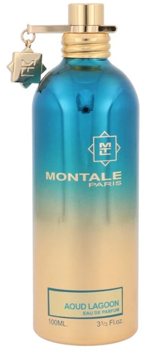 Montale Paris Montale Aoud Lagoon EDP parfumuotas vanduo unisex, 100 ml
