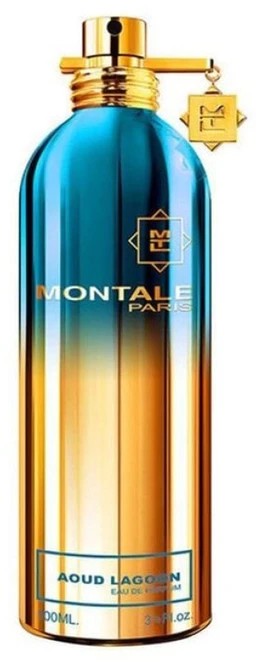 Montale Paris Montale Aoud Lagoon EDP parfumuotas vanduo unisex, 50 ml