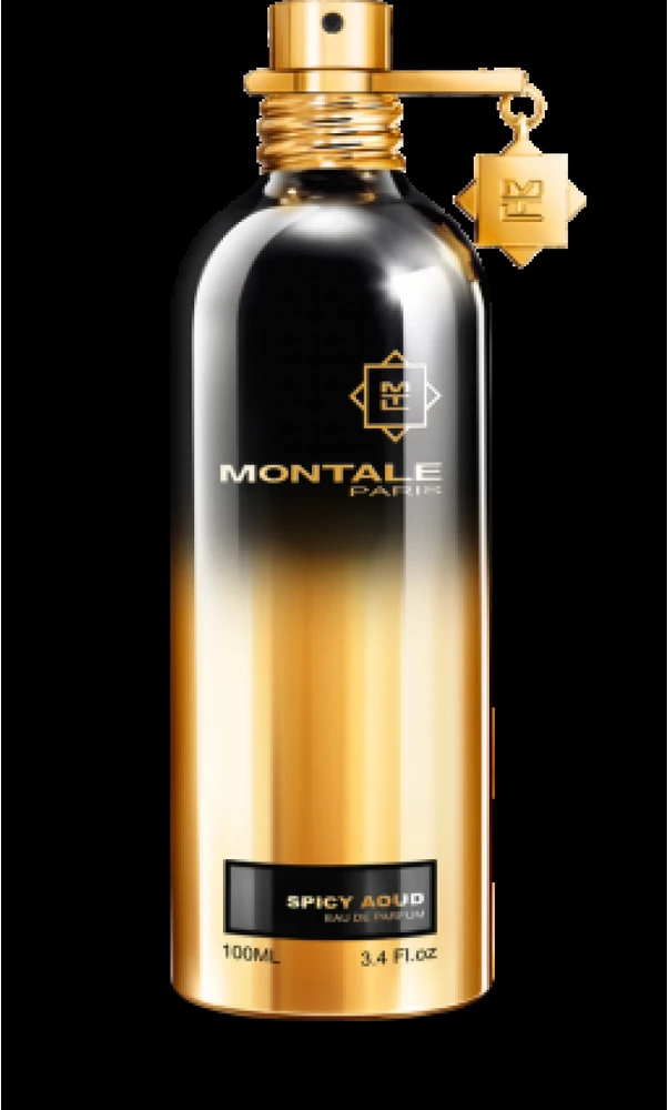Montale Paris Montale Spicy Aoud EDP parfumuotas vanduo unisex, 100 ml