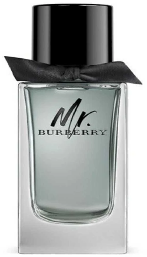 Burberry Mr. Burberry EDT tualetinis vanduo vyrams, 100 ml