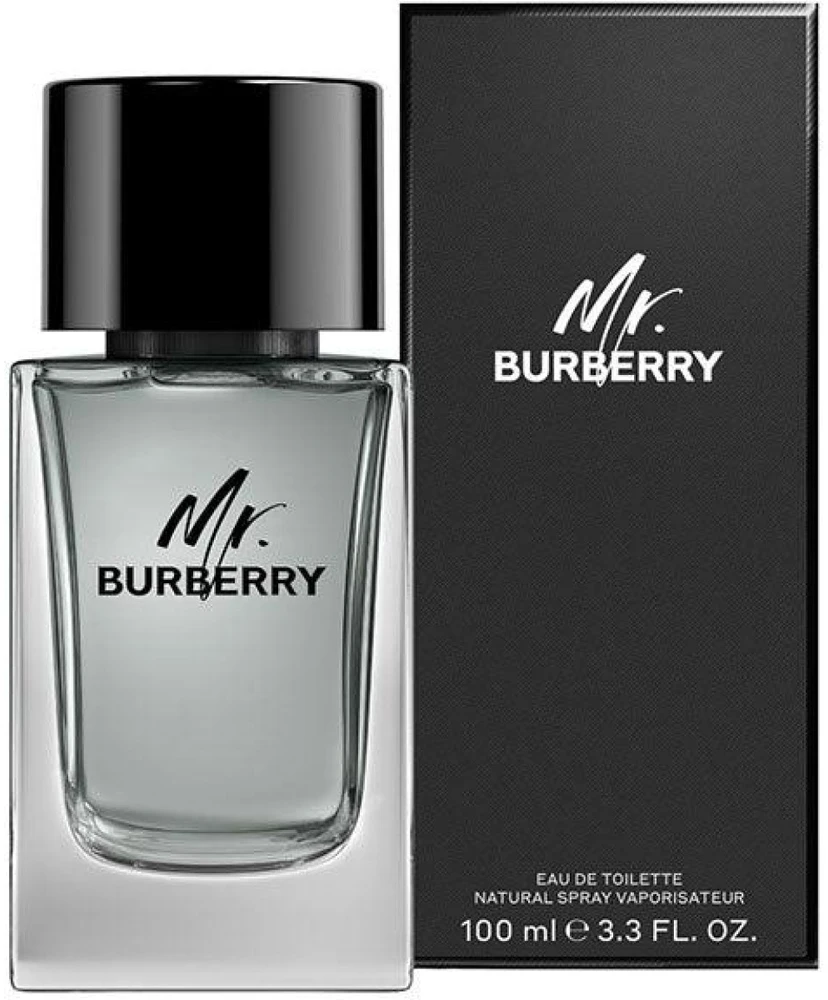 Mr Burberry EDT tualetinis vanduo unisex, 100 ml