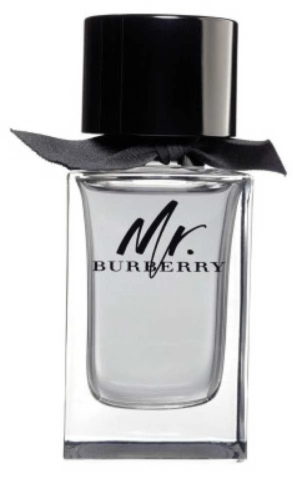 Mr. Burberry EDT tualetinis vanduo vyrams, 150 ml