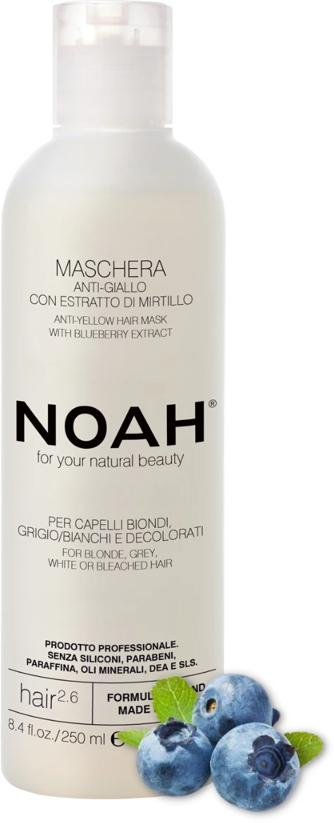 Noah 2.6. Anti-Geltona Hair Mask Geltonus tonus neutralizuojanti plaukų kaukė, 250 ml