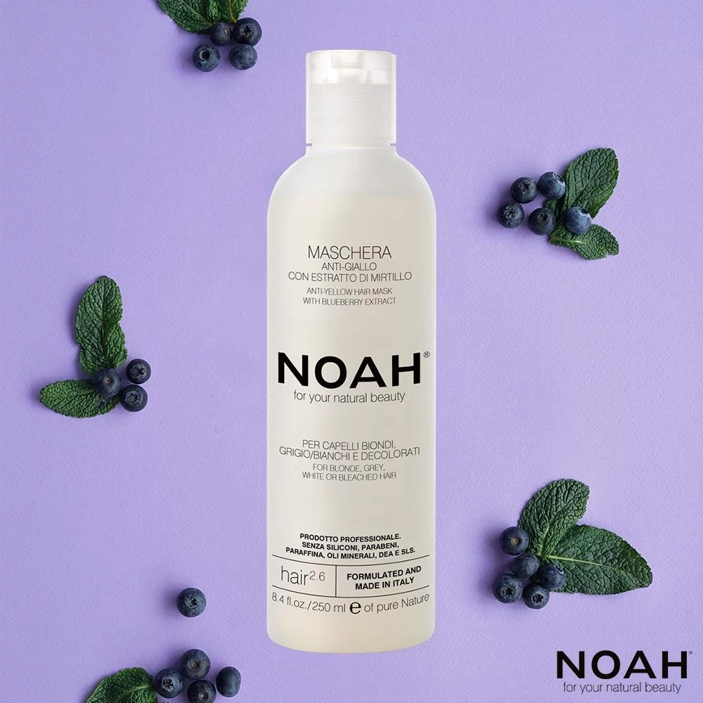 Noah 2.6. Anti-Geltona Hair Mask Geltonus tonus neutralizuojanti plaukų kaukė, 250 ml
