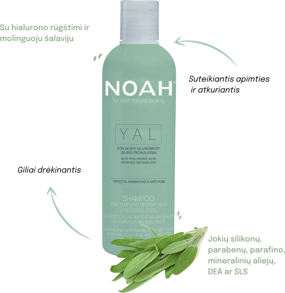 Noah YAL Hydrating And Restorative Treatment Šampūnas Atkuriamasis drėkinantis šampūnas su hialurono rūgštimi ir šalaviju, 250 ml