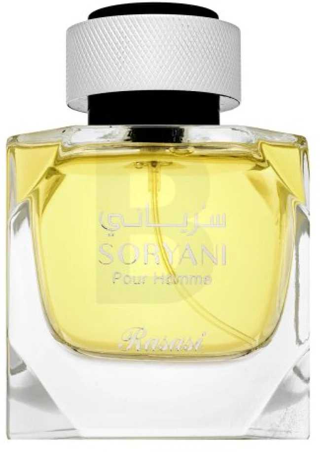 Rasasi Soryani Pour Homme EDP parfumuotas vanduo vyrams, 100 ml
