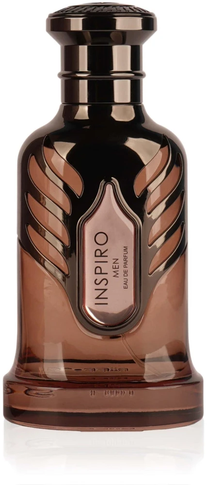 Riiffs Inspiro Men EDP parfumuotas vanduo vyrams, 100 ml