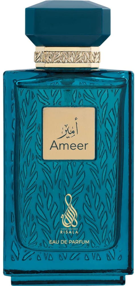 Risala Ameer EDP parfumuotas vanduo vyrams, 100 ml