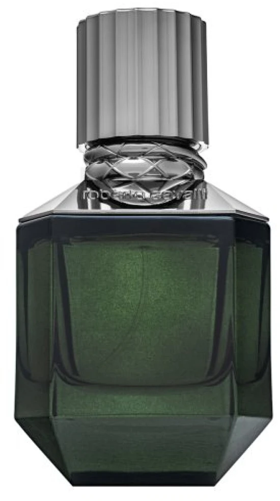 Roberto Cavalli Paradise Found EDT tualetinis vanduo vyrams, 50 ml