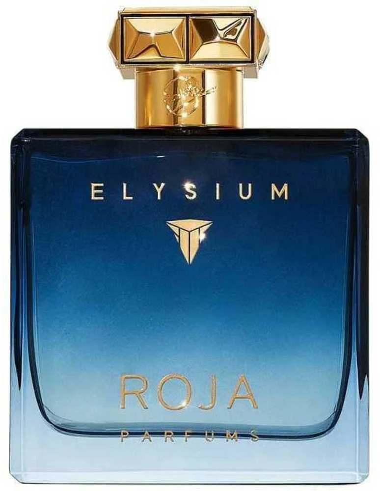 Roja Parfums Elysium Pour Homme Cologne Eau De Parfum odelokolonas vyrams, 100 ml