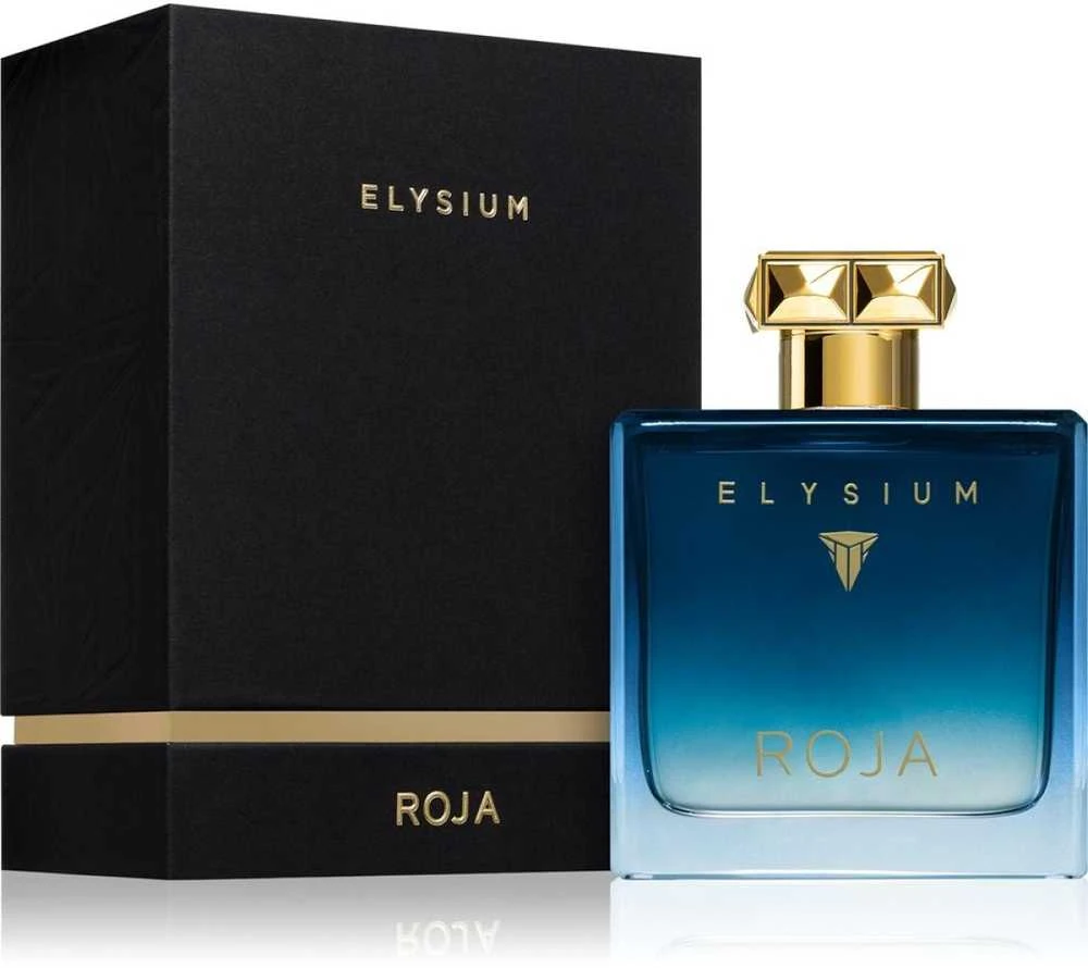 Roja Parfums Roja Elysium Pour Homme EDP parfumuotas vanduo vyrams, 100 ml
