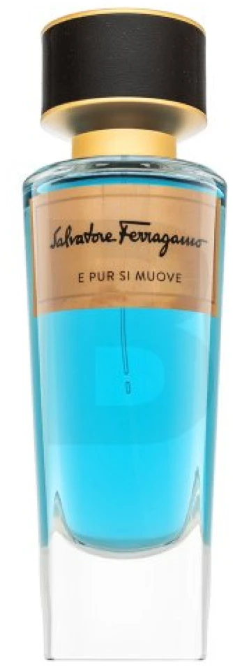 Salvatore Ferragamo E Pur Si Muove EDP parfumuotas vanduo unisex, 100 ml