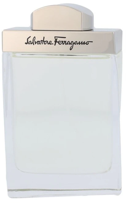 Salvatore Ferragamo Pour Homme EDT tualetinis vanduo vyrams, 100 ml