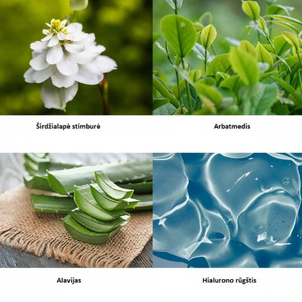 Šveičiamieji padeliai veido odos valymui Mizon Pore Fresh Peeling Toneris Pad Calming, ramina odą, skirti mišriai, riebiai odai, 60 padelių