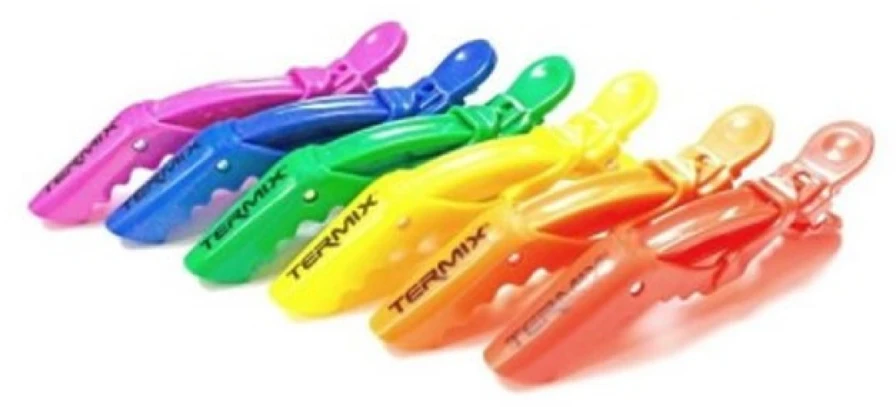 "Termix Professional Pride" plaukų segtukai 6 vienetai