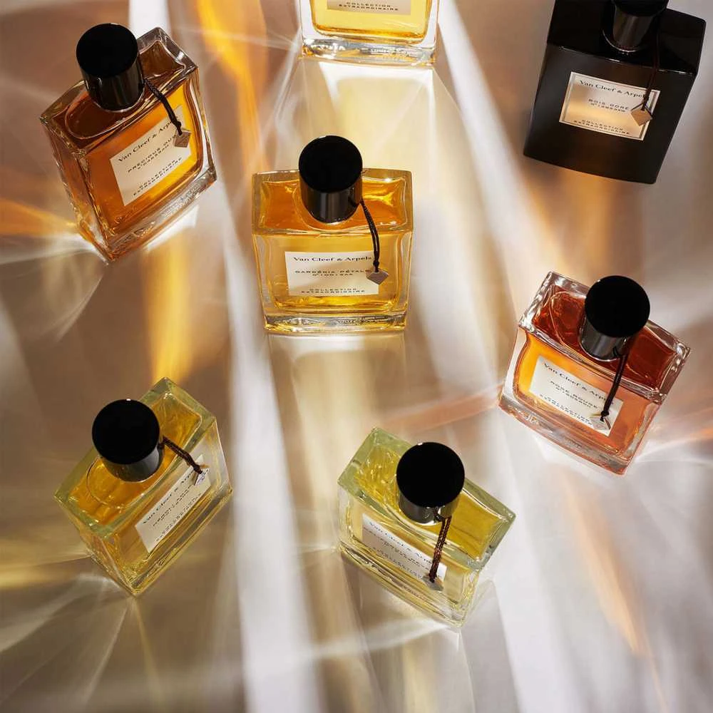 Kvepalai moterims Van Cleef & Arpels Collection Extraordinaire Precious Oud EDP, 75 ml