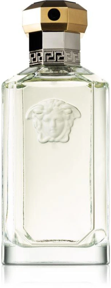 Kvepalai vyrams Versace The Dreamer EDT, 50 ml