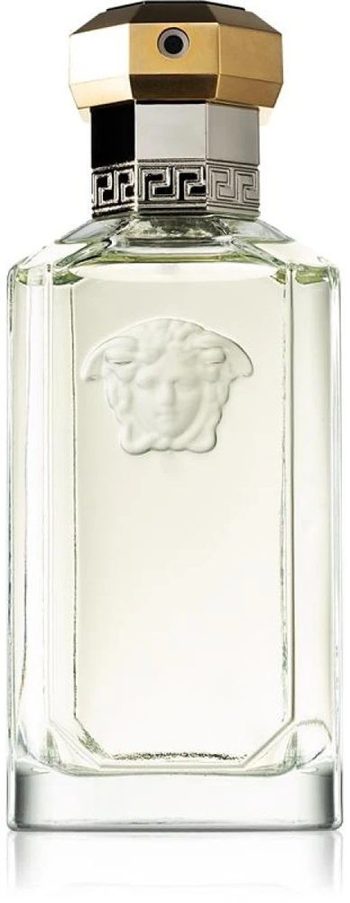 Kvepalai vyrams Versace The Dreamer EDT, 100 ml