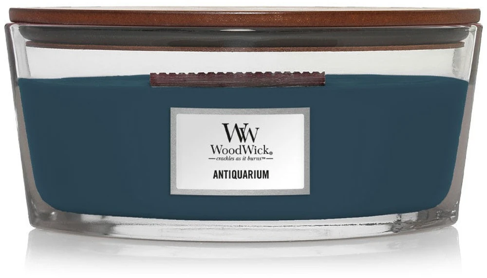 WoodWick Aromatinė žvakė (Antiquarium), 453,6 g