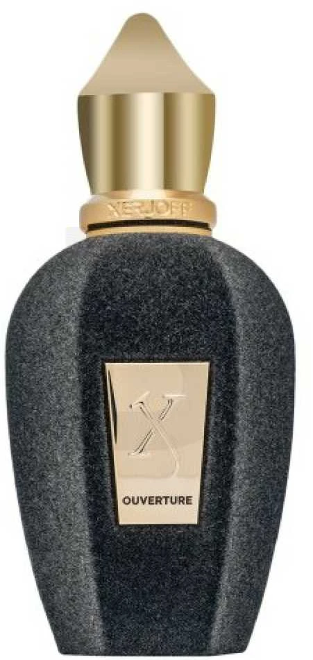 Xerjoff Overture EDP parfumuotas vanduo unisex, 50 ml