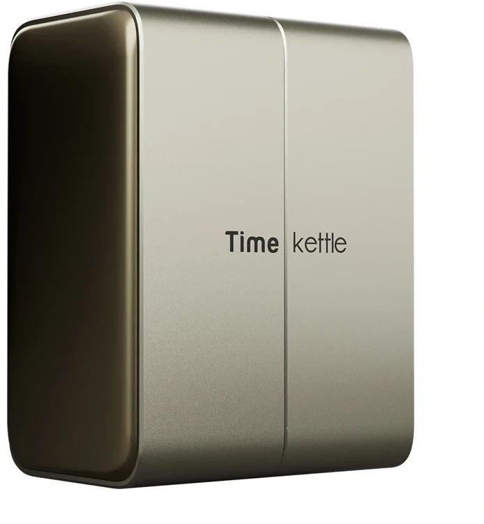 Ausinės TimeKettle W4 Plus TWS Translation Earbuds (Auksinė)