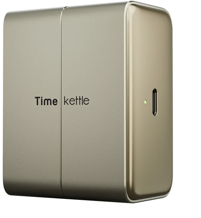 Ausinės TimeKettle W4 Plus TWS Translation Earbuds (Auksinė)