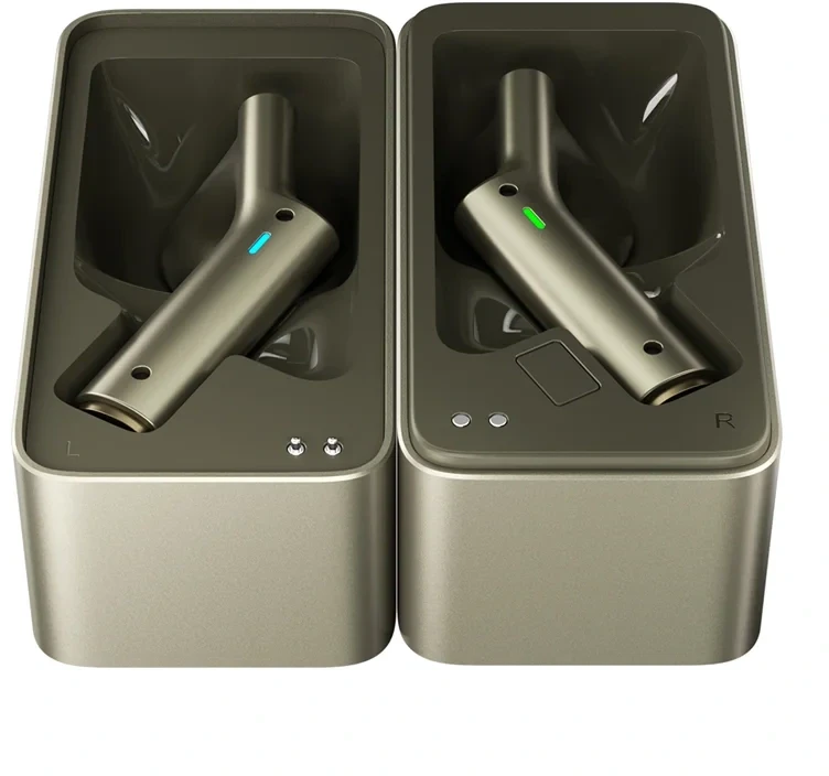 Ausinės TimeKettle W4 Plus TWS Translation Earbuds (Auksinė)