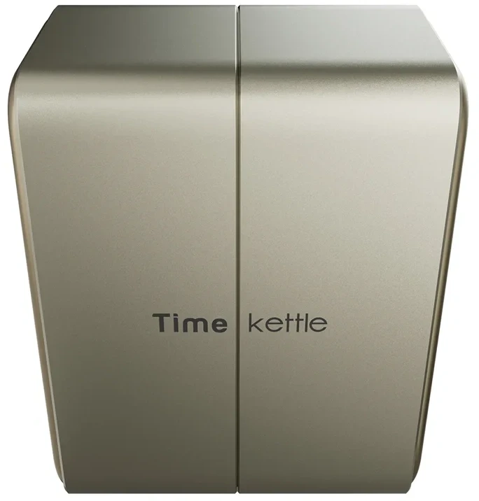 Ausinės TimeKettle W4 Plus TWS Translation Earbuds (Auksinė)