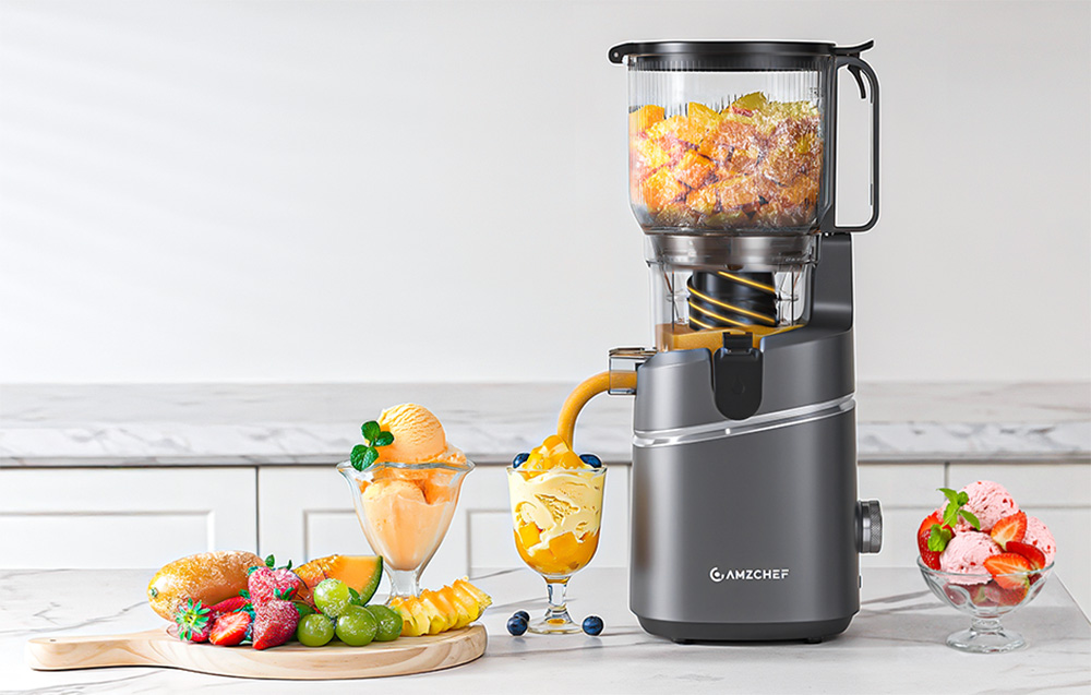 Sulčiaspaudė AMZCHEF CE-SJ-036C-GA Slow Juicer aprašymas - Prekės nuotrauka