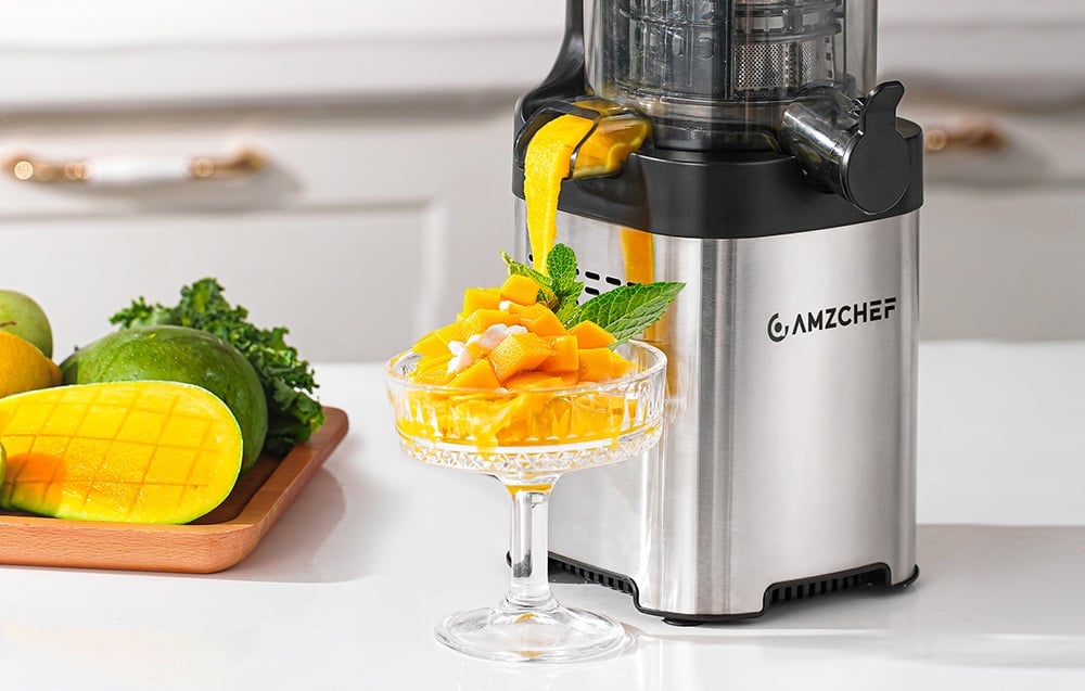Sulčiaspaudė AMZCHEF CE-ZM1902B-SV Slow Juicer aprašymas - Prekės nuotrauka