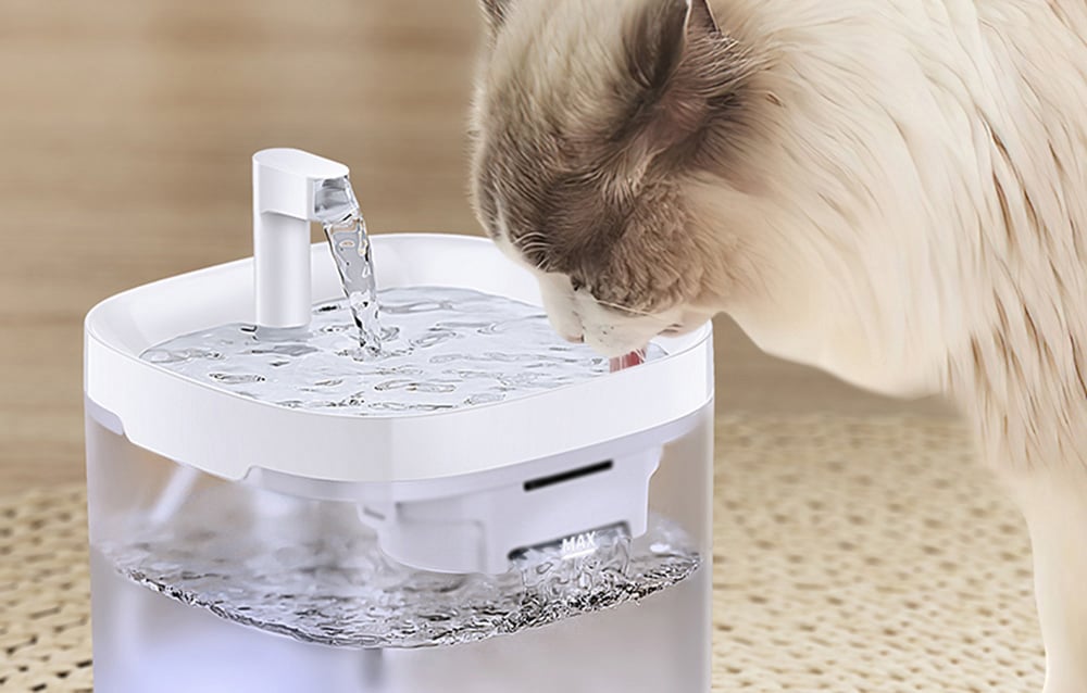 Gyvūnų vandens fontanas 1.5L Rojeco aprašymas - Prekės nuotrauka Gyvūnų vandens fontanas 1.5L Rojeco aprašymas - Prekės nuotrauka