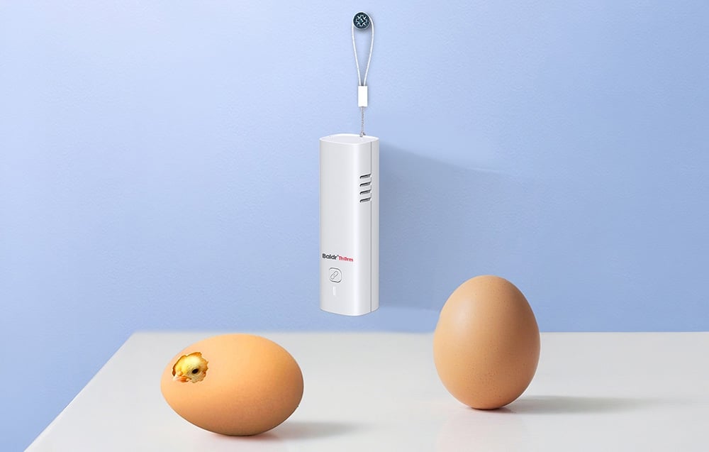 Rainpoint BALDRTHERM HCS802ARF Wi-Fi termohigrometras (jutiklis + šakotuvas) aprašymas - Prekės nuotrauka