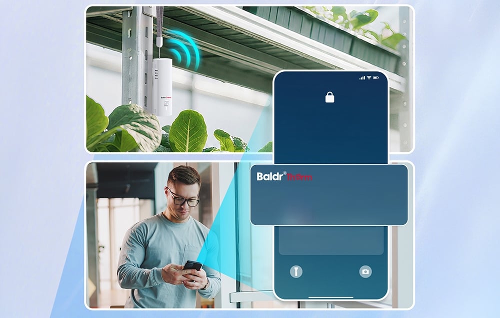 Rainpoint BALDRTHERM HCS802ARF Wi-Fi termohigrometras (jutiklis + šakotuvas) aprašymas - Prekės nuotrauka