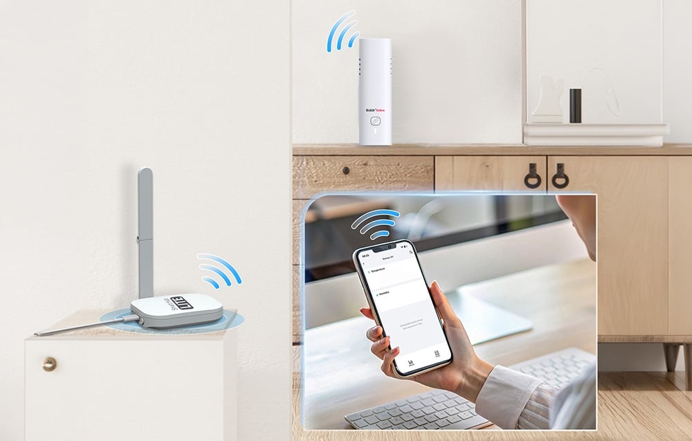 Rainpoint BALDRTHERM HCS802ARF Wi-Fi termohigrometras (jutiklis + šakotuvas) aprašymas - Prekės nuotrauka