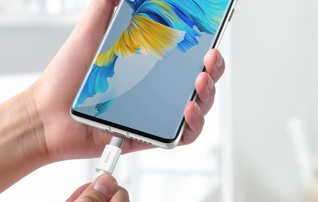 Baseus Superior serijos kabelis USB-C 66W 2m - Baltas aprašymas - Prekės nuotrauka