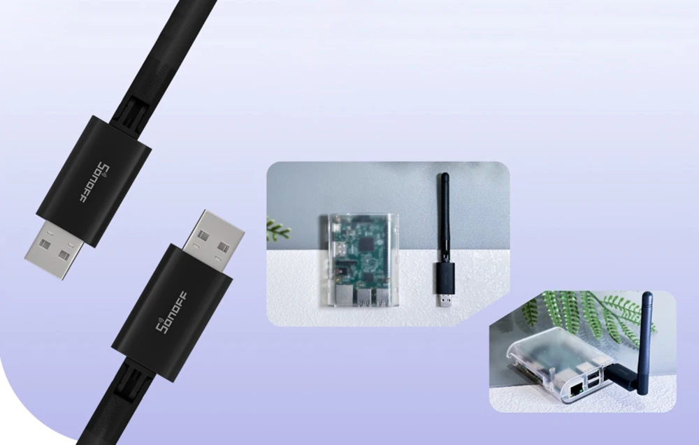 Zigbee valdiklis Sonoff Dongle Lite MG21 aprašymas - Prekės nuotrauka