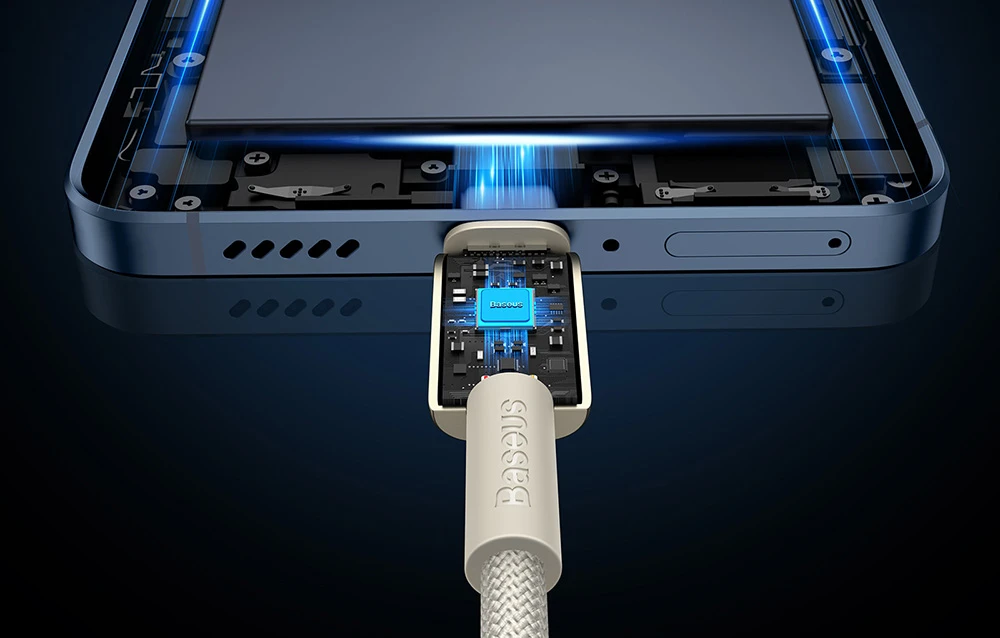 Laidas iš USB-C į USB-C Baseus Tungsten Gold, 100 W, 1 m (auksinis) aprašymas - Prekės nuotrauka